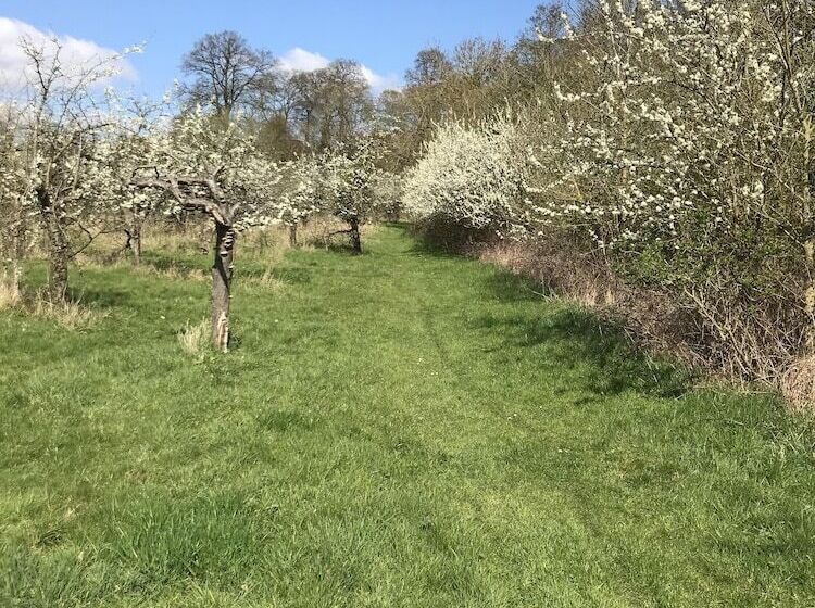 مبيت وإفطار Shakespeare's View