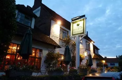 مبيت وإفطار The Frog At Skirmett