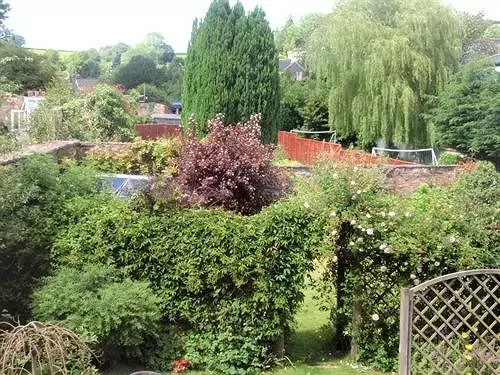 Bed and Breakfast Weston House