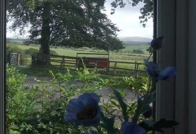 Dykefield Farm B&b