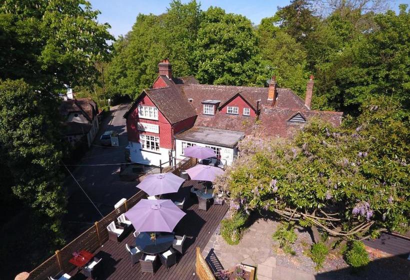 Отель The Red Lion & Cellar Room, Betchworth