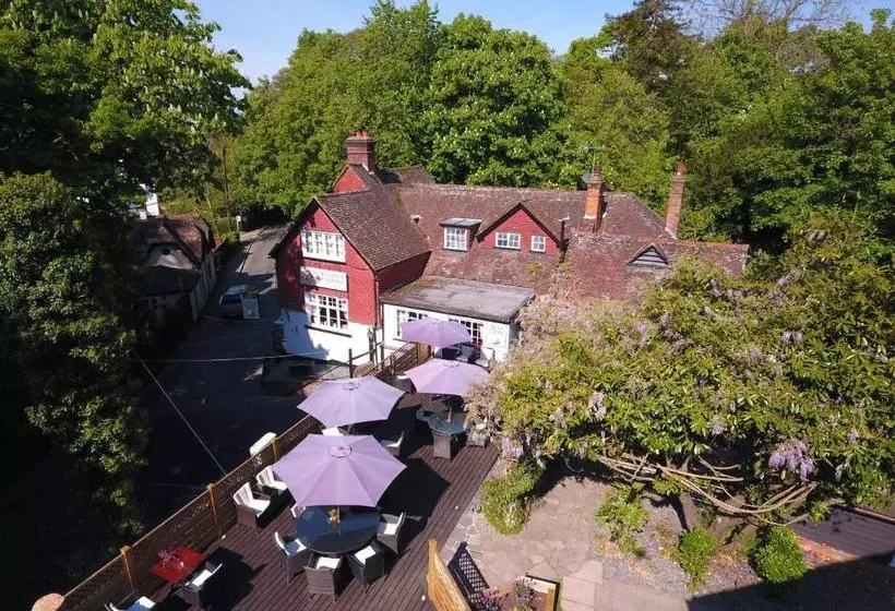 酒店 The Red Lion & Cellar Room, Betchworth