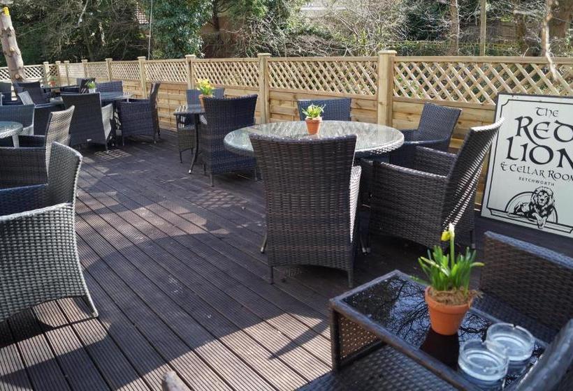 Отель The Red Lion & Cellar Room, Betchworth