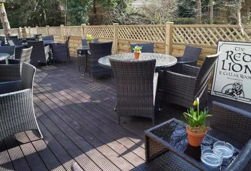 酒店 The Red Lion & Cellar Room, Betchworth