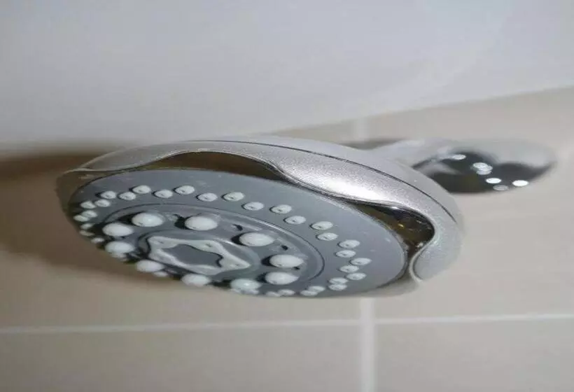 Hotel The Inn @ Y Not