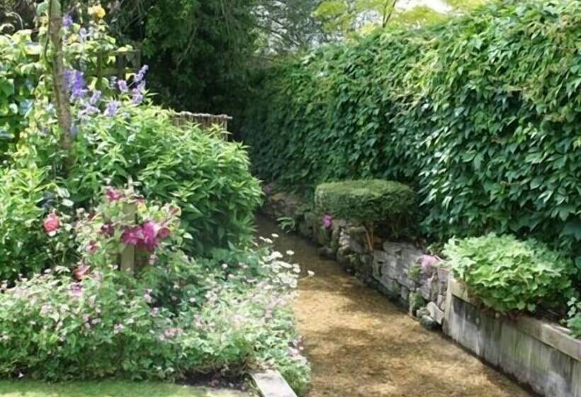 Отель The Three Cups Inn