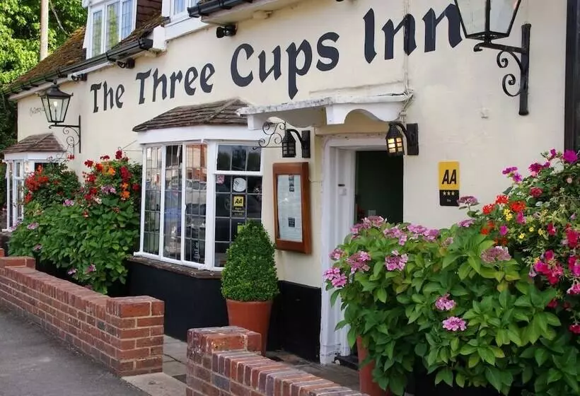酒店 The Three Cups Inn