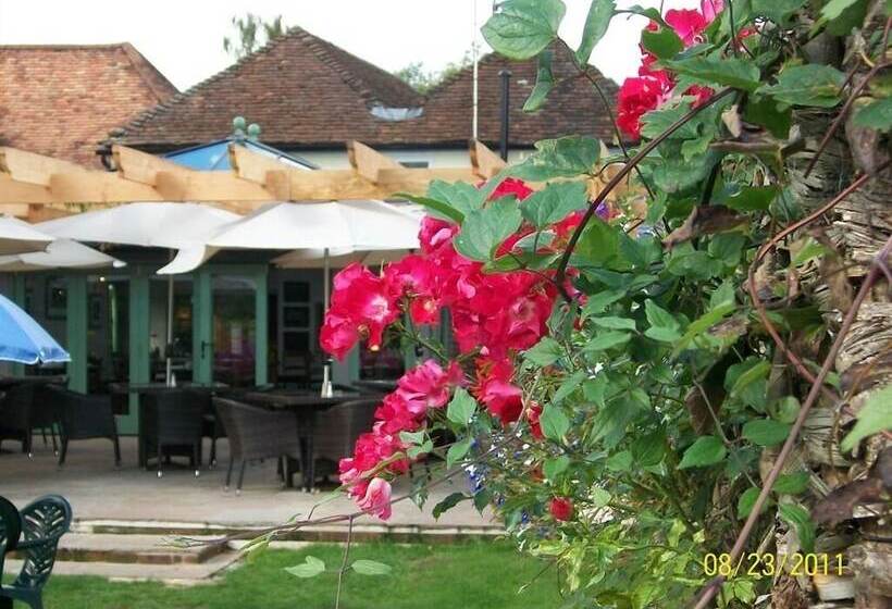 Отель The Three Cups Inn