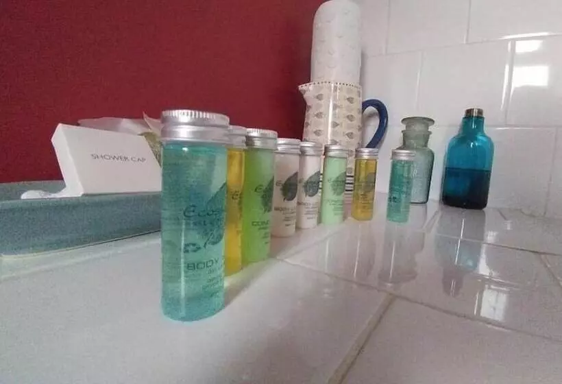 酒店 The Three Cups Inn