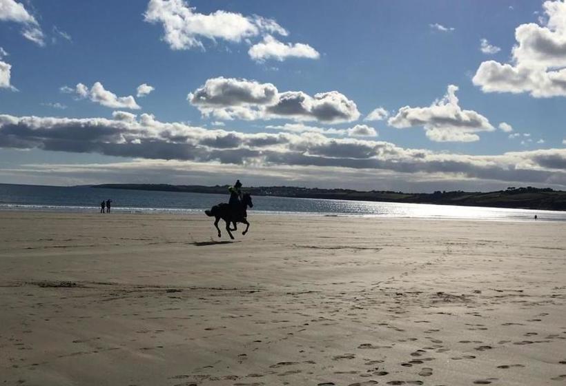 펜션 Elerkey Guest House