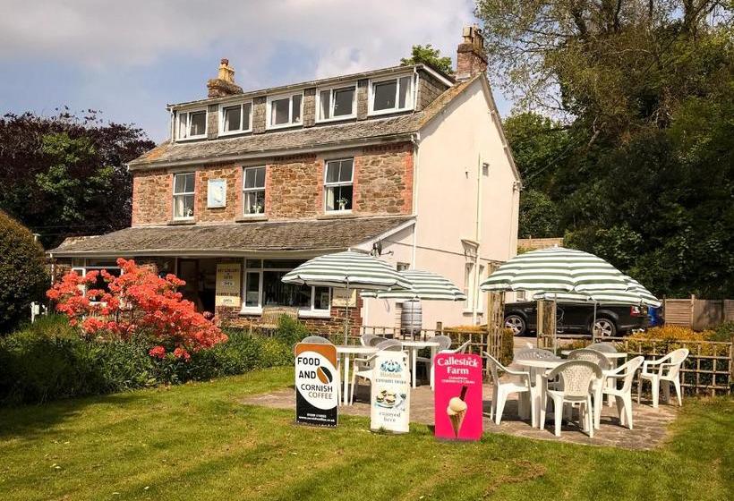 펜션 Elerkey Guest House