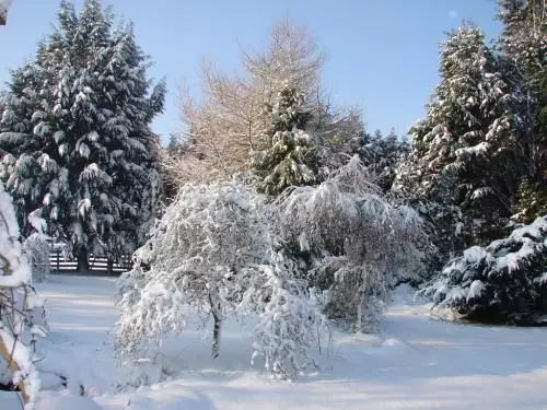 Пансион Stoney Ridge