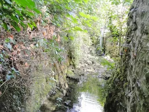 Пансион Stoney Ridge