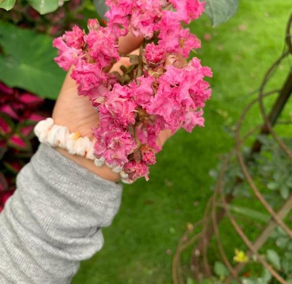 Abc, Boutique Hotel In Pokhara