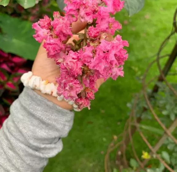 Abc, Boutique Hotel In Pokhara