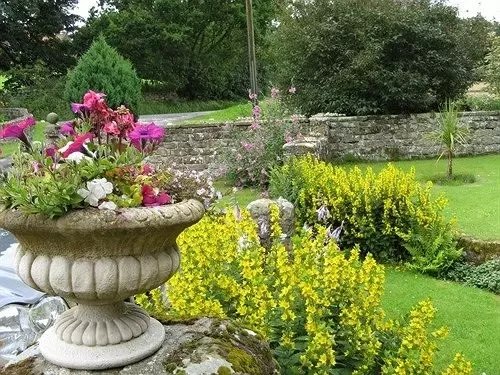 Bed and Breakfast Laskill