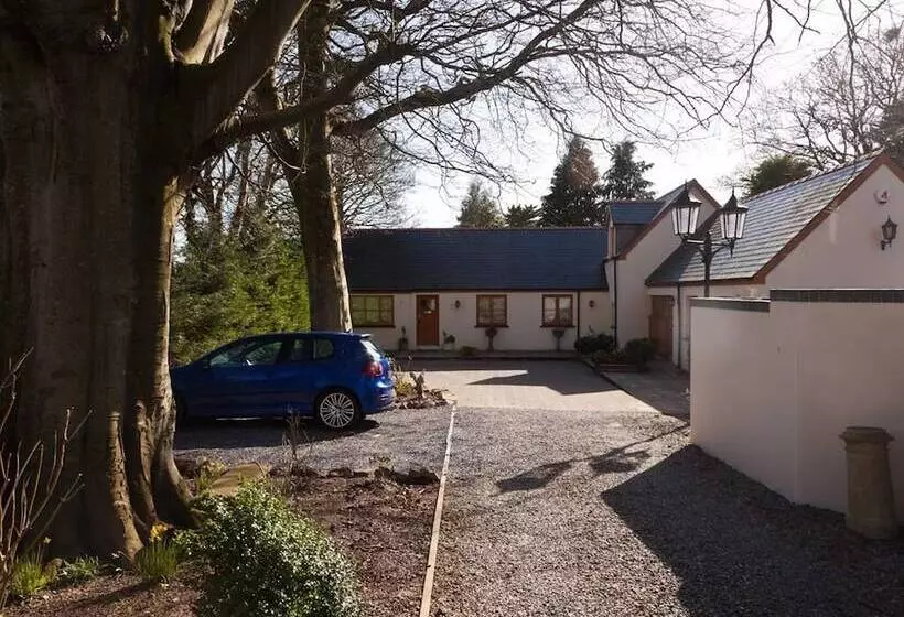 住宿加早餐  Little Red Rooster Rest And Spa