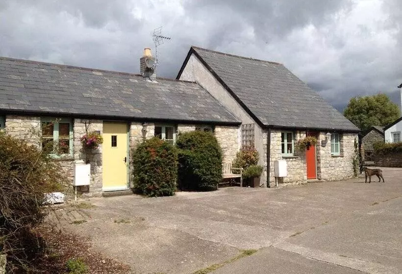 Bed and Breakfast Moorshead Farm