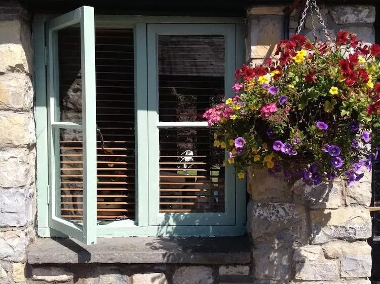 Bed and Breakfast Moorshead Farm