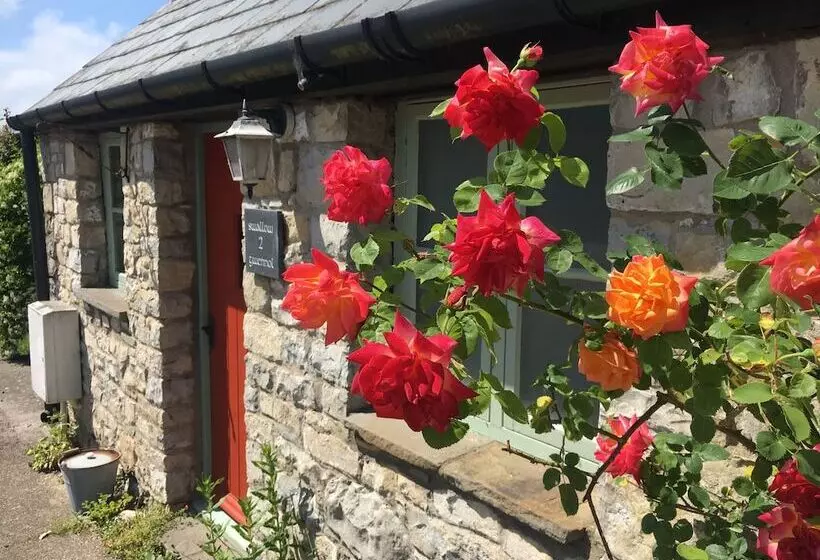 Bed and Breakfast Moorshead Farm