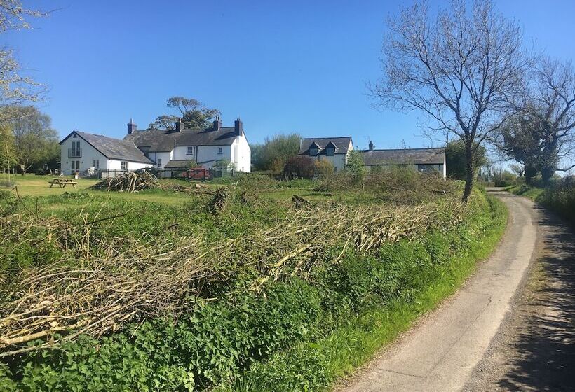 住宿加早餐  Moorshead Farm