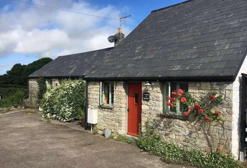 Bed and Breakfast Moorshead Farm