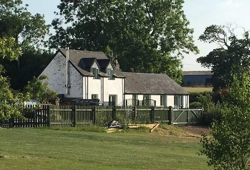 Bed and Breakfast Moorshead Farm