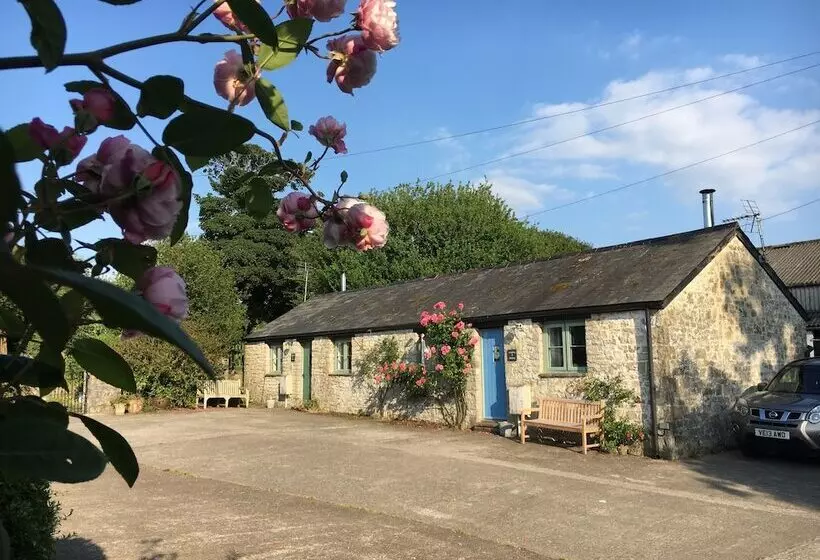 Bed and Breakfast Moorshead Farm