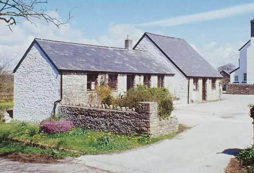 Bed and Breakfast Moorshead Farm