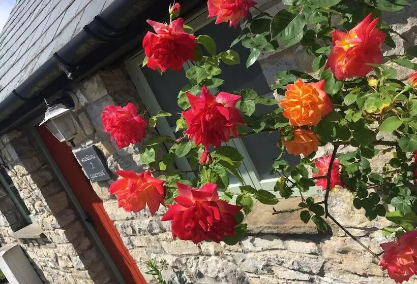 Bed and Breakfast Moorshead Farm