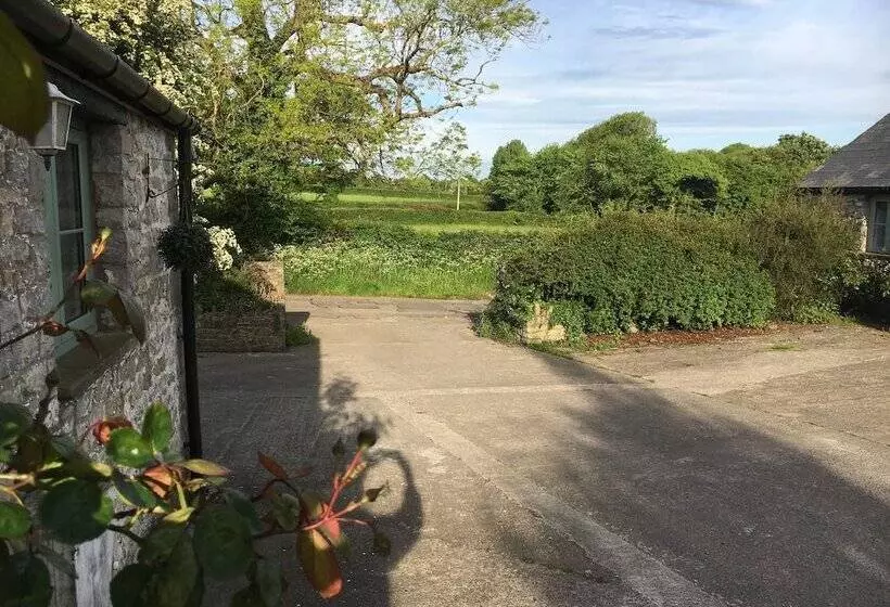 Bed and Breakfast Moorshead Farm