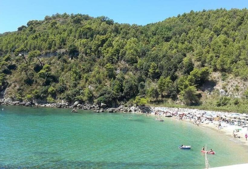 בית מלון כפרי Baron Beach