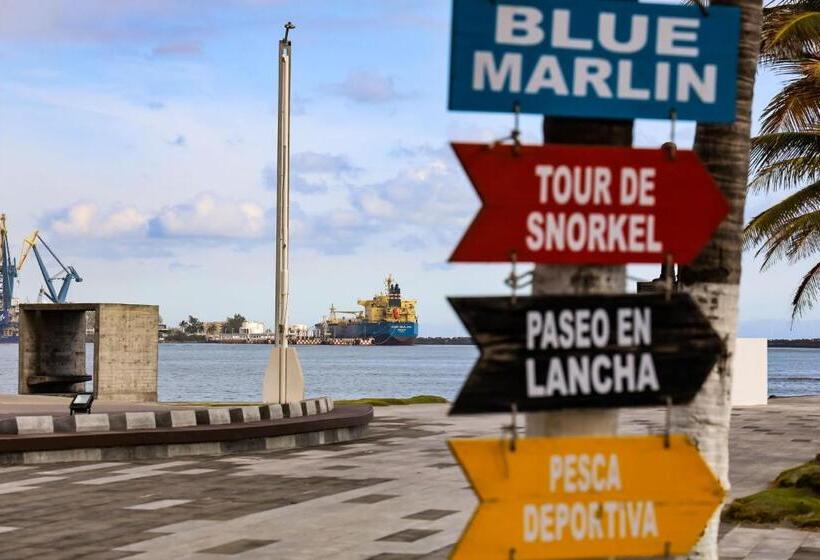 酒店 Holiday Inn Express Veracruz Boca Del Rio, An Ihg