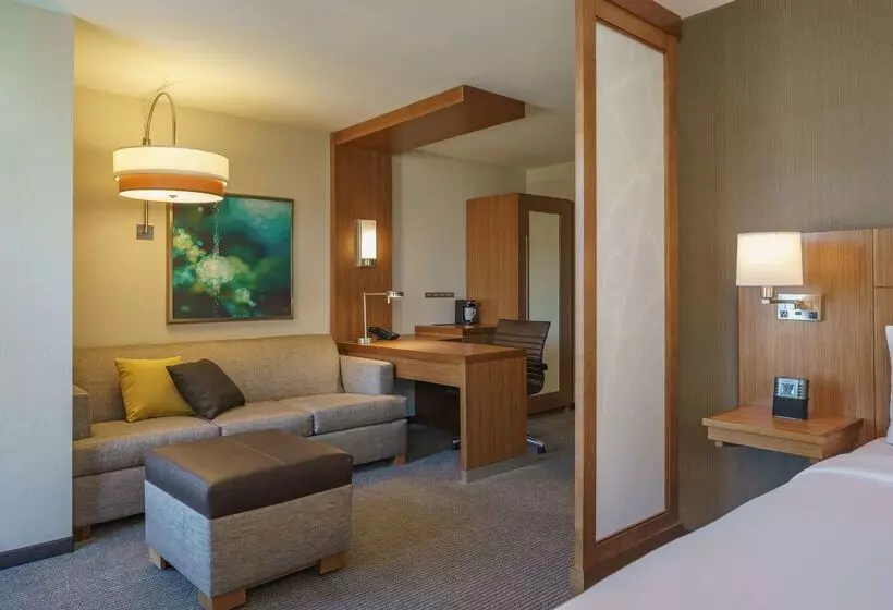 酒店 Hyatt Place Houston Galleria