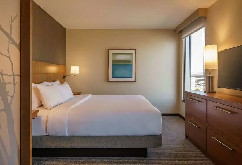 酒店 Hyatt Place Houston Galleria