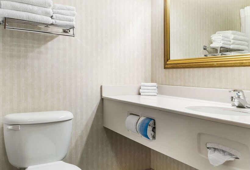 فندق Quality Inn & Suites