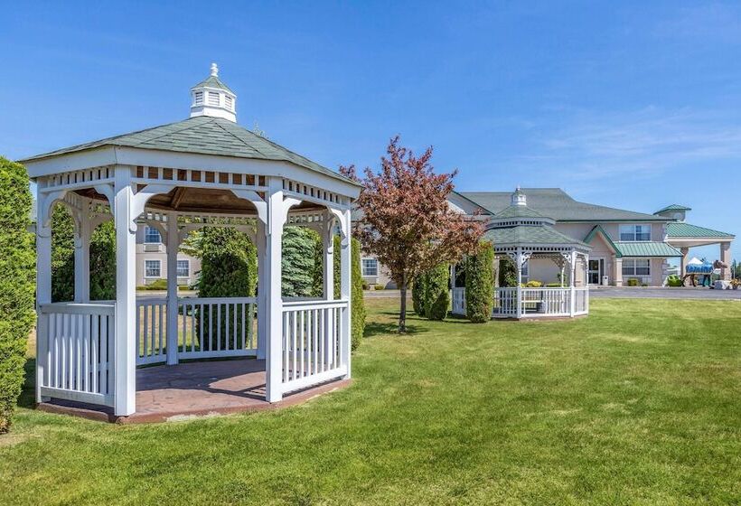 فندق Quality Inn & Suites