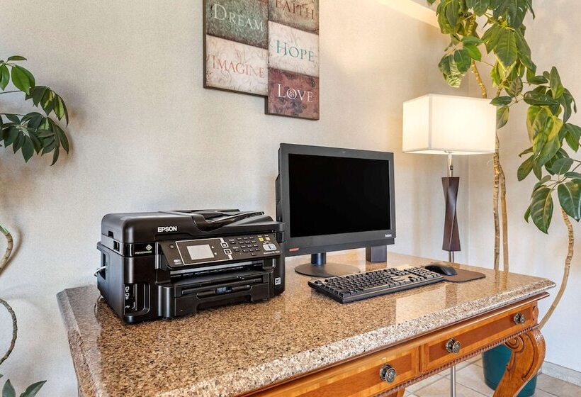 فندق Quality Inn & Suites