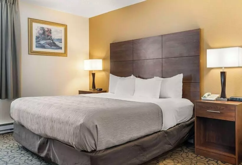 Hotelli Quality Inn & Suites