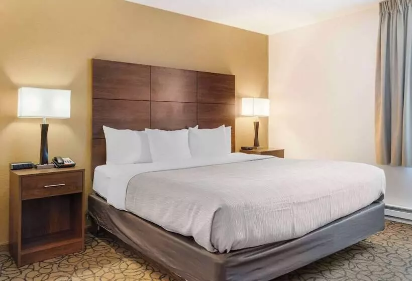 Hotelli Quality Inn & Suites