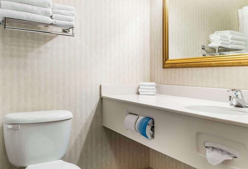 فندق Quality Inn & Suites