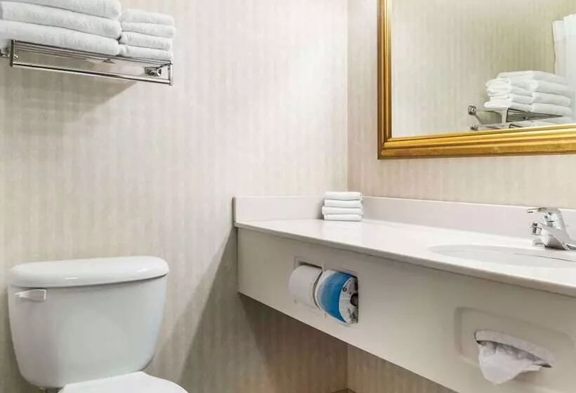 Hotelli Quality Inn & Suites