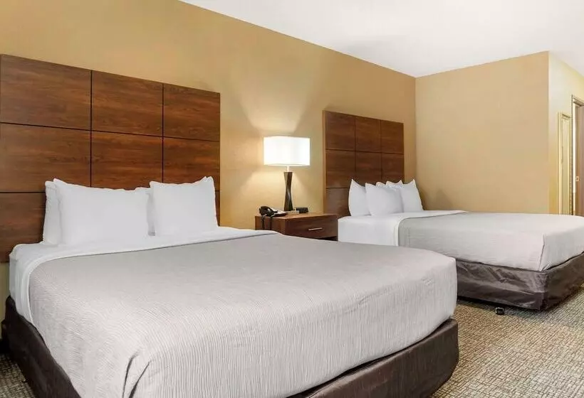 Hotelli Quality Inn & Suites