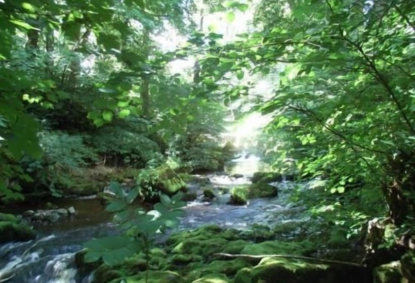 ホテル Wallace Lane Farm   Farm Home