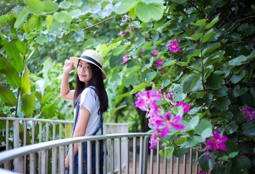 בית מלון כפרי Watermill Resort