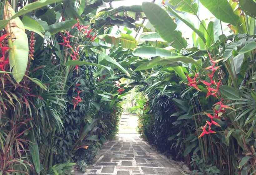 בית מלון כפרי Watermill Resort