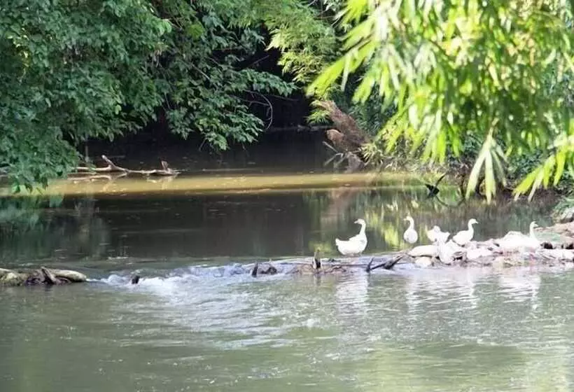 בית מלון כפרי Watermill Resort