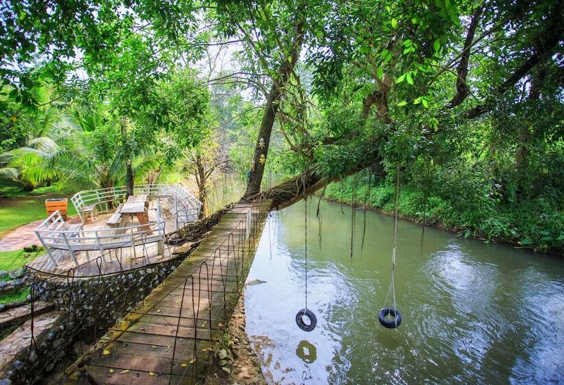 בית מלון כפרי Watermill Resort