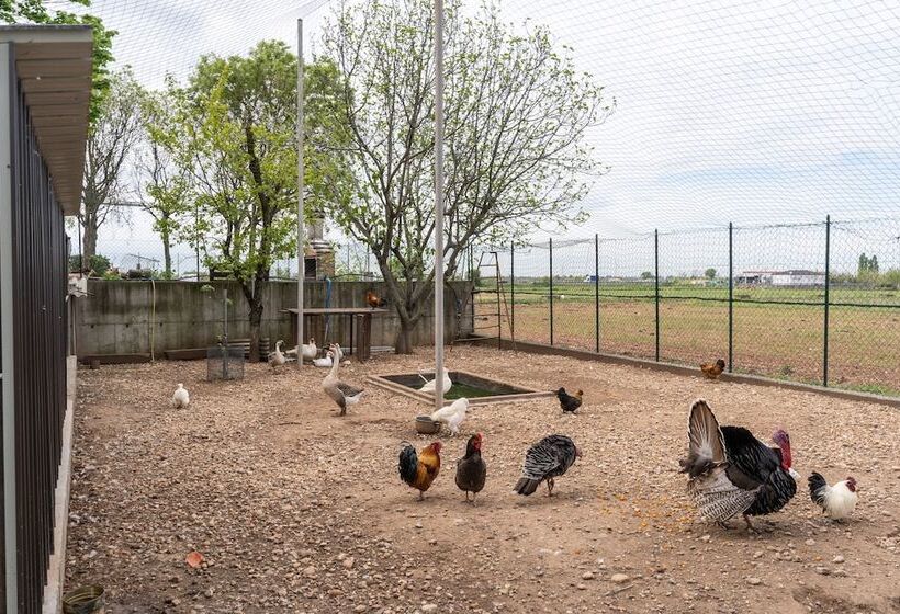 فندق Agriturismo Pozzo Fiorito