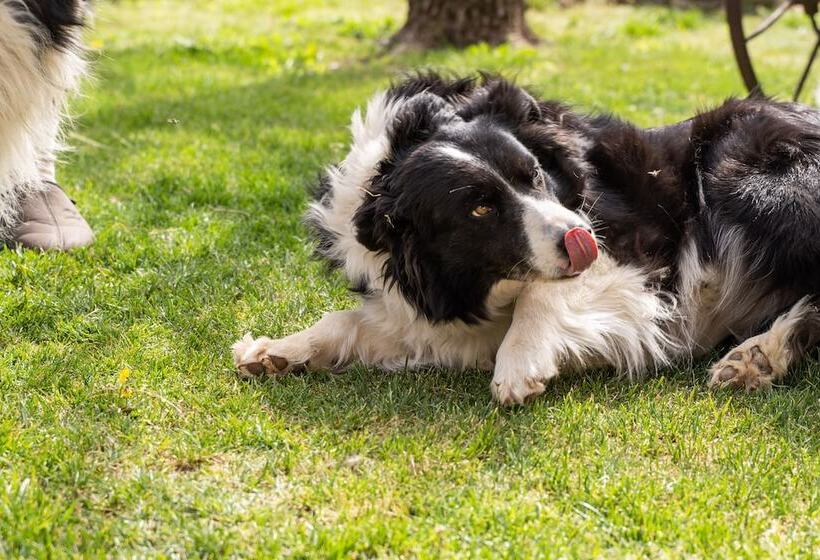 فندق Agriturismo Pozzo Fiorito
